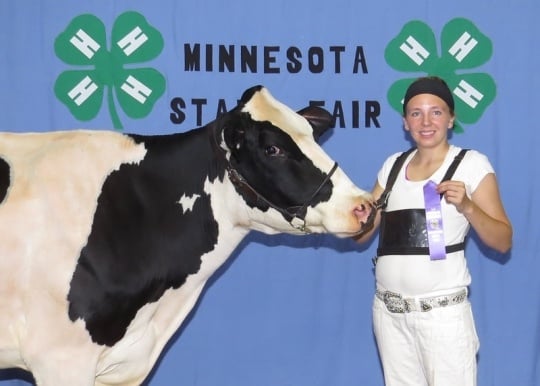 Color image of 4-H club member Hannah Rolf showing off her three-year-old Holstein dairy cow at the Minnesota State Fair, 2015.